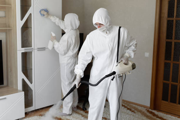 24/7 Emergency Odor Removal experts in Morton, WA