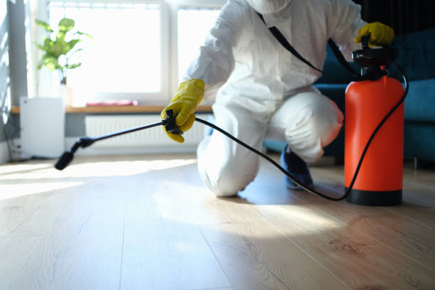 Reliable Odor Removal contractor in Morton, WA by Trauma Clean Pros